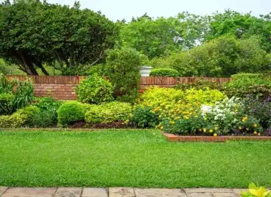 landscaping services Timberlake